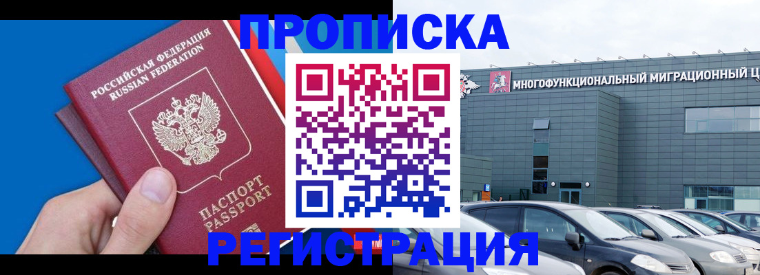 прописка для школы в Торопеце